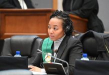 Dr Zanetor Agyeman-Rawlings presides over Pan-African Parliament session