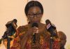 Ghana launches five-year plan to tackle heavy metals in food
