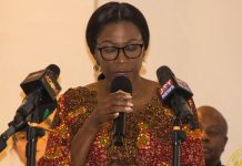 Ghana launches five-year plan to tackle heavy metals in food