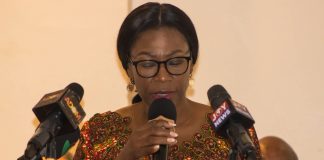 Ghana launches five-year plan to tackle heavy metals in food