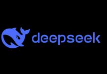 DeepSeek plans first CFO appointment as IPO preparations gather pace