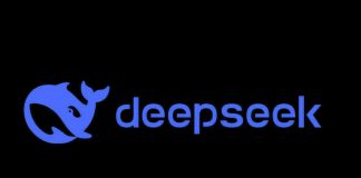 DeepSeek plans first CFO appointment as IPO preparations gather pace