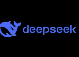 DeepSeek plans first CFO appointment as IPO preparations gather pace