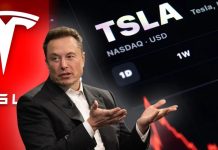 Micron, Tesla lead stock gains as Sea Limited and Ritchie Bros fall